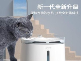 猫咪饮水机里的水需要注意的处理方法（保护猫咪健康）