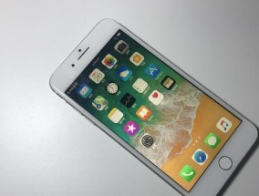 如何辨别iPhone手机的真伪（掌握iPhone手机真假识别技巧）