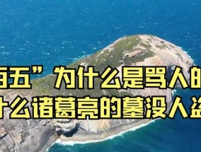 揭秘“以骂人二百五”的真正含义（探索这一网络流行语背后的文化现象）