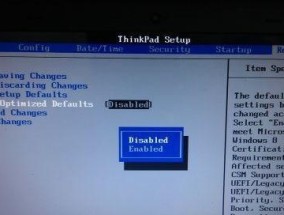 ThinkPad进入BIOS设置U盘启动的方法（简单易懂的操作步骤让你轻松设置U盘启动）