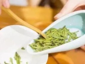 探秘龙井茶的最佳泡法（以温度为关键）