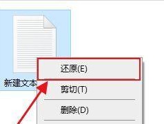 电脑回收站文件的恢复方法及注意事项（如何恢复电脑回收站中已删除的文件）