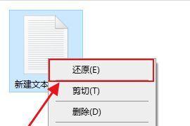 电脑回收站文件的恢复方法及注意事项（如何恢复电脑回收站中已删除的文件）  第1张