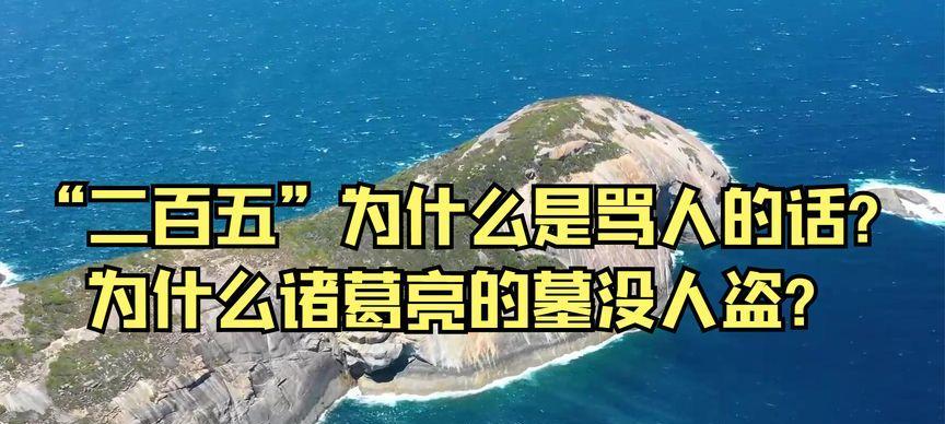 揭秘“以骂人二百五”的真正含义（探索这一网络流行语背后的文化现象）  第1张