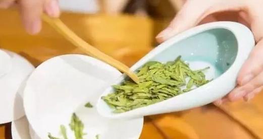 探秘龙井茶的最佳泡法（以温度为关键）  第1张