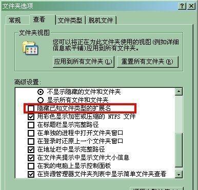 电脑文件的扩展名显示问题（如何正确显示电脑文件的扩展名）  第3张