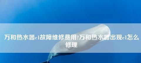 万和热水器E1代码故障判断与附近维修指南（万和热水器E1代码故障的解决方法与维修服务）  第2张