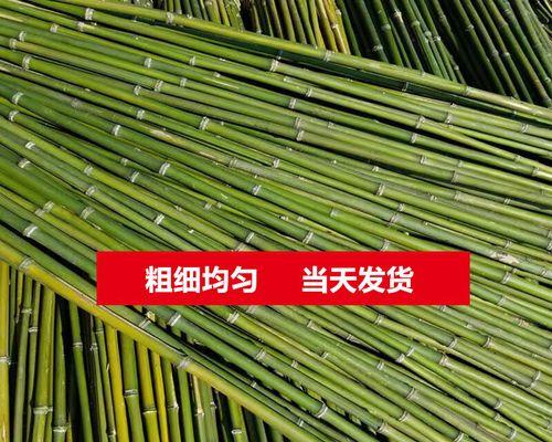 潮鸣电脑配置怎么样啊值得买吗？性能和价格对比如何？  第2张